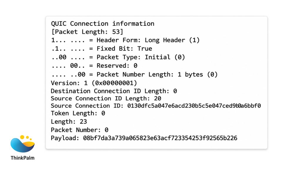 QUIC Connection Information