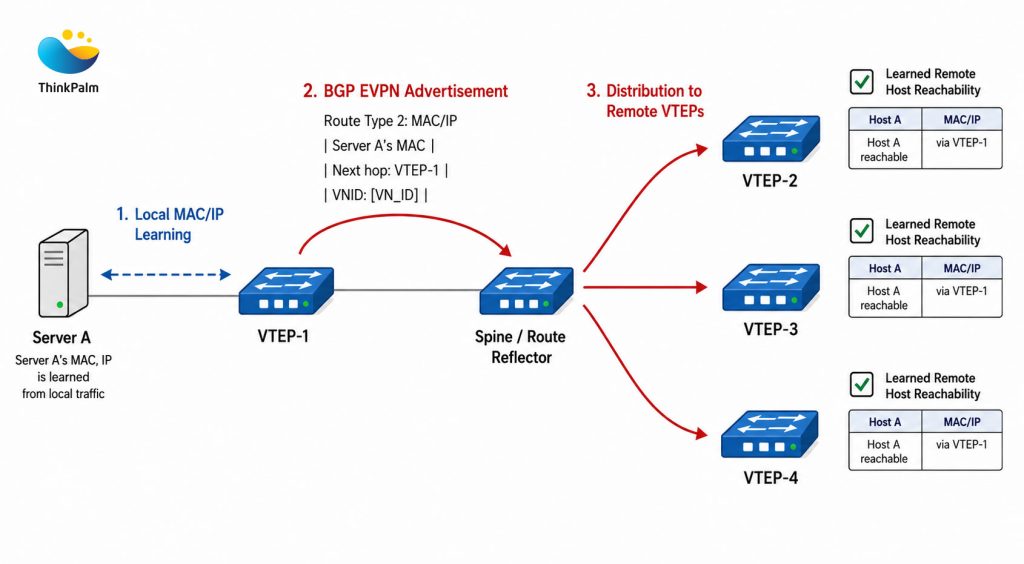 Network EVPN BGP Advertisement Overview
